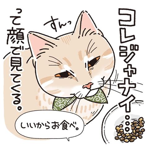 ＜画像55 121＞にじり寄るおしり、爪切りの戦い猫とのにぎやかな暮らしを描いた漫画がキュート｜ウォーカープラス