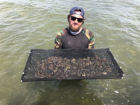 Rutgers Led Research Further Enhances Shellfish Aquaculture In New