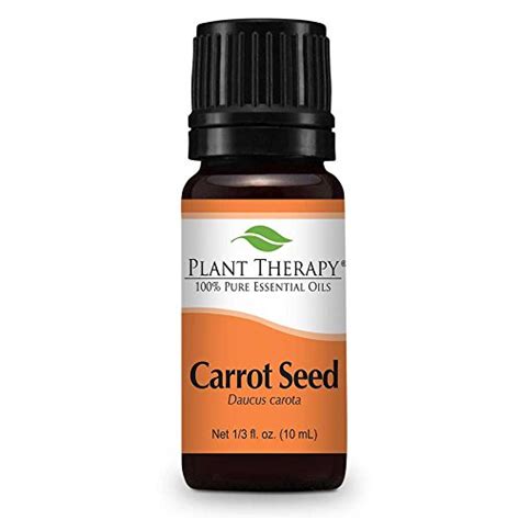 Carrot Seed Oil For Skin Lightening The Essential Oil How To Use It Beautymunsta Free