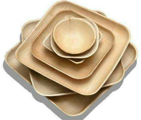 Areca Leaf Plate Square 10 Inch At Rs 4 Piece Pakku Mattai Plate In