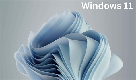 [100+] Windows 11 Bakgrund | Wallpapers.com