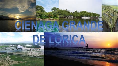 ciénaga grande de lorica YouTube