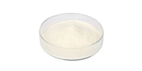 Food Grade Lactase Beta Galactosidase Alu G At Best Price In