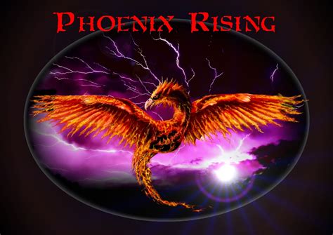 10 Latest Phoenix Rising From The Ashes Wallpaper Full Hd 1920×1080 For