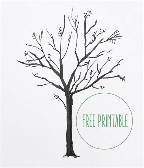 Blank Family Tree Free Printable - Printable Templates