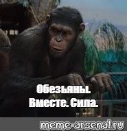 Создать мем "планета обезьян обезьяны вместе сила, восстание планеты ...