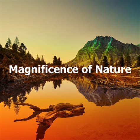 Magnificence Of Nature Album By Kings Of Nature Spotify