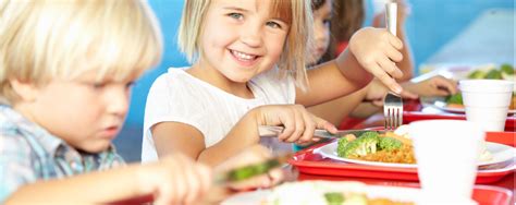 La Alimentaci N Del Ni O En La Etapa Escolar