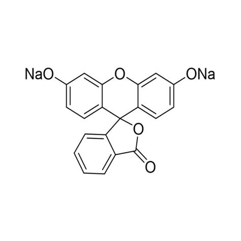 DiR细胞膜荧光探针深红色 DiR碘化物 美仑生物