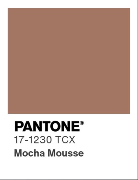 Mocha Mousse The Pantone Color Of The Year And What It Means For