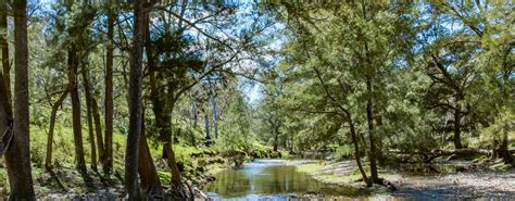 Auction 902 Palmers Oakey Road Moonlight Palmers Oaky Nsw 2795