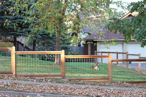 My Cattle Panel Fence Hootenannie