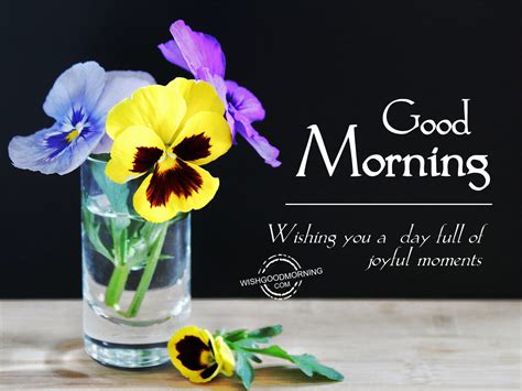 Good Morning Pictures