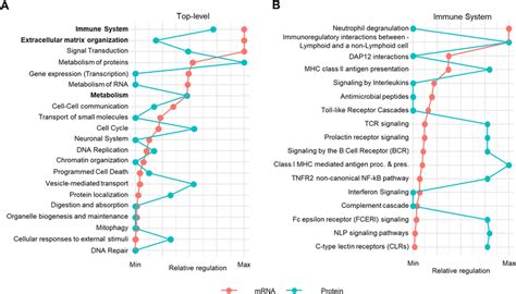 Global Pathway Analysis Of Transcriptomic And Proteomic Data A Download Scientific Diagram