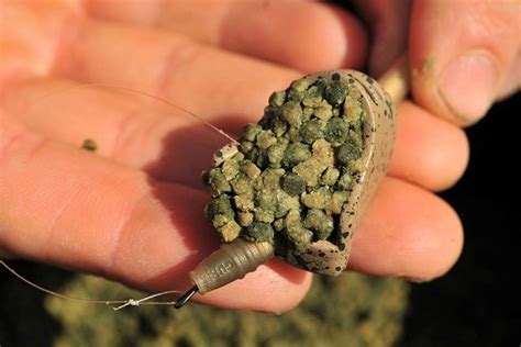 Fishing A Hybrid Pellet Feeder David Batten Design
