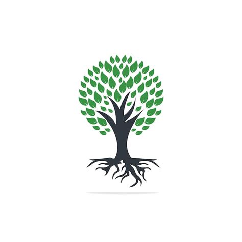 Premium Vector Tree Roots Vector Logo Design