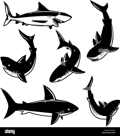 Satz Von Shark Illustrationen Design Element F R Poster Drucken