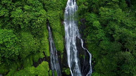 Banyumala Twin Waterfall Wanagiri Bali Stock Video Video Of Nature