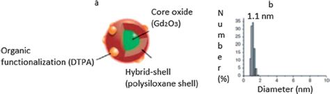 Structural Depiction Of Gadolinium Based Nanoparticles Gbn A And