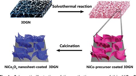 Figure From Two Dimensional Nico O Nanosheet Coated Three