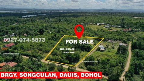 Hectare Lot For Sale In Brgy Songculan Dauis Panglao Island Bohol