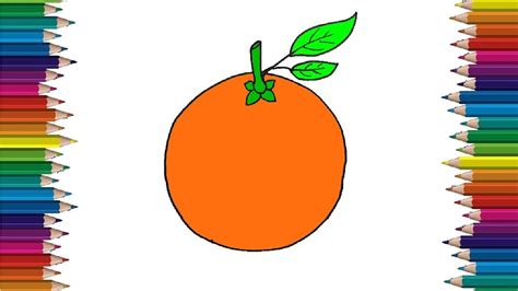 How To Draw Orange Step By Step Fruits Drawing And Coloring Youtube