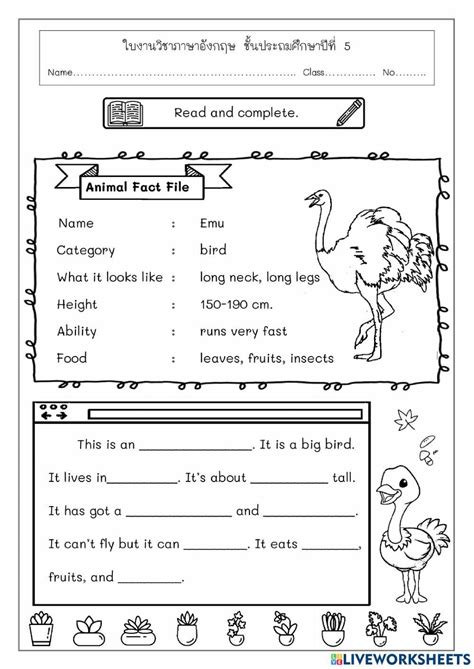 Animal Fact File Online Exercise For Live Worksheets