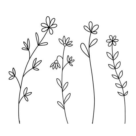 Set One Line Drawing Abstract Flowers Hand Vector Image