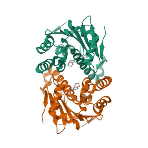 Rcsb Pdb 2bt0 Novel Potent Small Molecule Inhibitors Of The