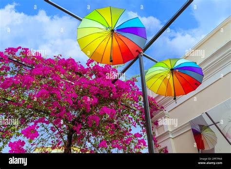 Dominican Republic Colorful Colonial Umbrella Street In Puerto Plata