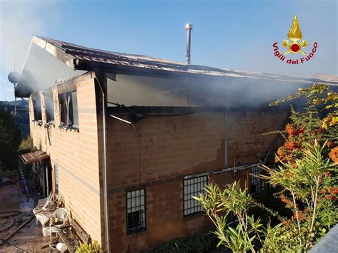 Incendio Pianoro Fiamme Nell Azienda Agricola In Via Del Sasso