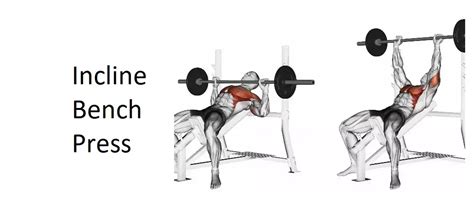 Incline Bench Press A Comprehensive Guide To Technique Benefits