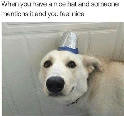 Nice hat : r/wholesomememes