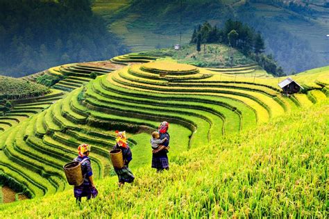 19 Spectacular Examples Of Terraced Agriculture PICs