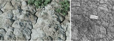 problem soils
