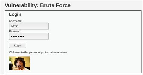 What Is Brute Force Attack Dvwa