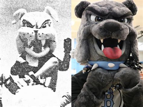 Buena Speaks Photo Story The History Of Spike The Bulldog