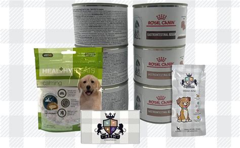 Gastro Intestinal Puppy Food Bundle 6x195g Wet Tins Plus Healthy Treats