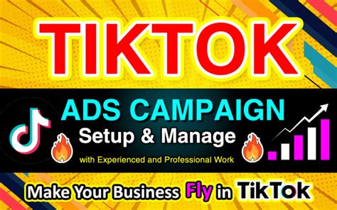 Setup Manage And Run Tiktok Ads Campaign Tik Tok Ads Tiktok