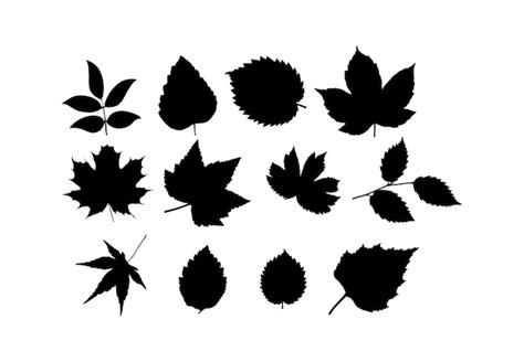 Ensemble De Feuilles De Différentes Plantes Et Arbres Conception Simple