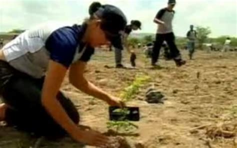 G Brasil Not Cias Estudantes De Pernambuco Plantam Mudas De