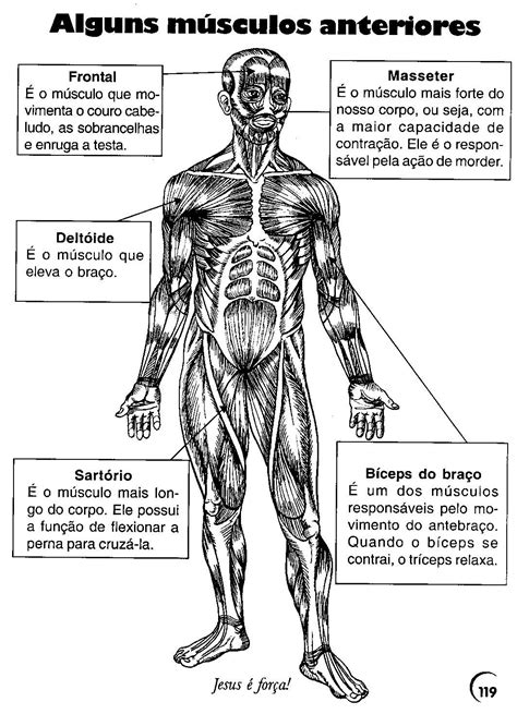 ATIVIDADES CORPO HUMANO 3 4 5 6 ANOS EXERCÍCIOS CIÊNCIAS PARA