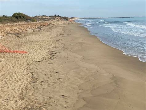 Cruz Roja Se Hace Con El Servicio De Socorrismo En Las Playas De