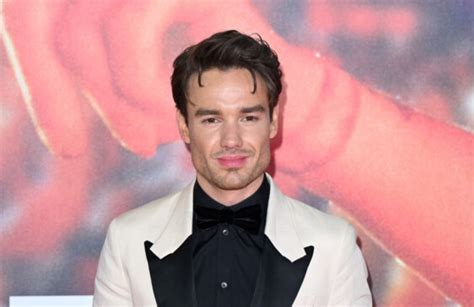 Liam Payne Debuts New Look At All Of Those Voices Premiere Townsville Bulletin