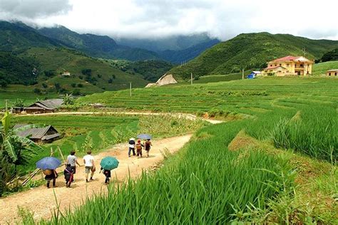 Sapa Village Trekking Day Trip