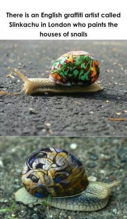 Pin By Gloria Cunanan On What Is That Snail Snail Art Animals