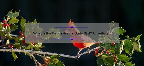 What Is The Pennsylvania State Bird Unveiling The Official Avian