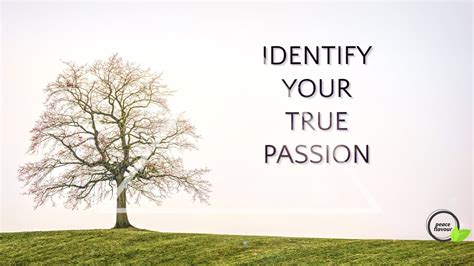 How To Identify Your True Passions Peace Flavour