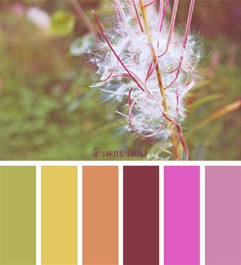 Fireweed Color Palette 2