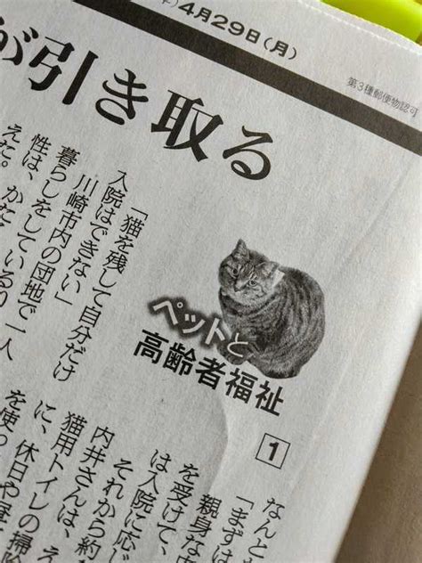 わお‼️‼️朝日新聞朝刊で、なんと、まさに私の取り組んでいる課題の連載記事が始まった～～😊スク 原くみこ（ハラクミコ） ｜ 選挙ドットコム